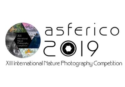 فراخوان سیزدهمین مسابقه بین‌المللی عکاسی طبیعت | لینک : https://asarart.ir/Atelier/?p=3664 | کانال رسمی باشگاه‌های تخصصی اثرهنری(آتلیه اثرهنری) ـ @AsarArtAtelier